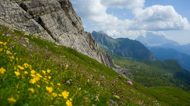 istock Scenic view of mountain meadow in summer, Dolomites 2167619477