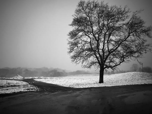 istock Lonely Winter in Tennessee 2167619752