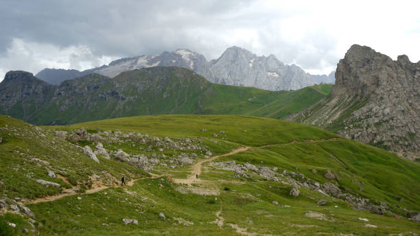 istock Scenic view of mountain meadow in summer, Dolomites 2167621918