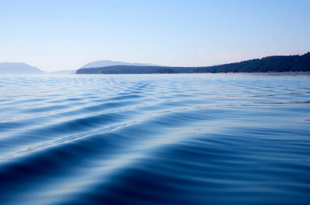 A serene, minimalist landscape of the calm blue water of the Puget Sound, with a distant, forested shoreline and the snow-capped peaks of the Olympic Mountains under a blue sky.