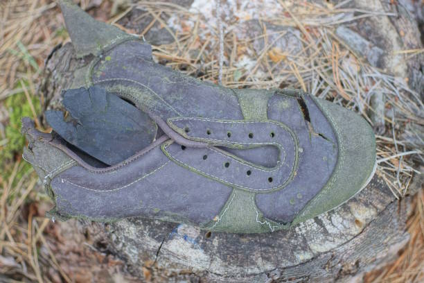 istock one old torn leather grey brown sneaker lies on a stump 2167629404