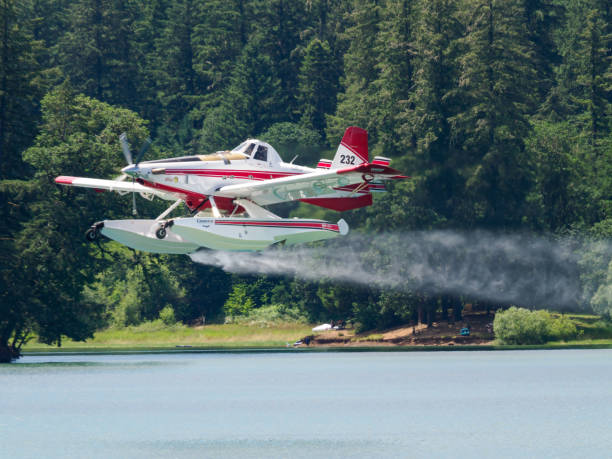 Low-angle view of a crop-dusting aircraft flying against a pale blue morning sky, captured during agricultural spraying operations, with ample open space around the aircraft.