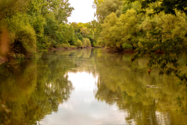 A peaceful river reflects surrounding greenery under a clear sky, evoking tranquility and natural beauty.