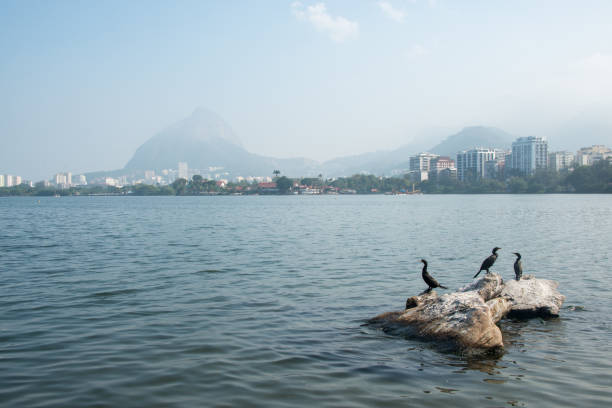 View from the side of the Rodrigo de Freitas Lagoon in Rio de Janeiro. Brazil