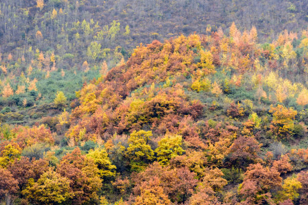 istock Autumn scenery in Longnan, Gansu, China 2167637818