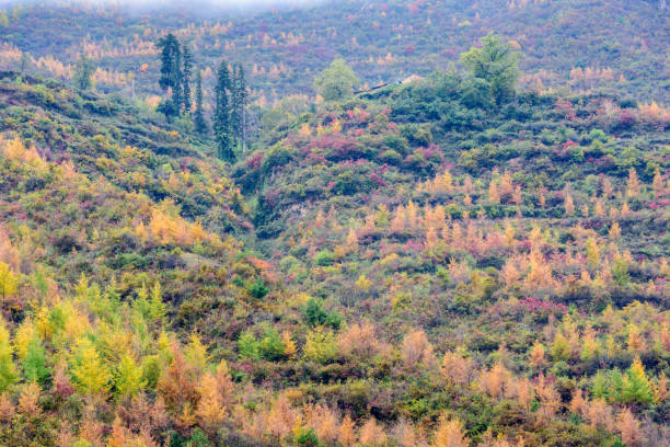 istock Autumn scenery in Guan'egou, Dangchang, Gansu, China 2167637936