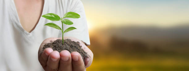 istock Hand plant trees for sustainability 2167637967