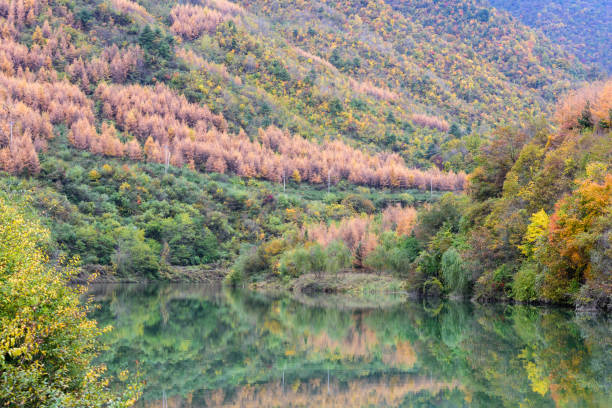 istock Autumn scenery in Guan'egou, Dangchang, Gansu, China 2167637979