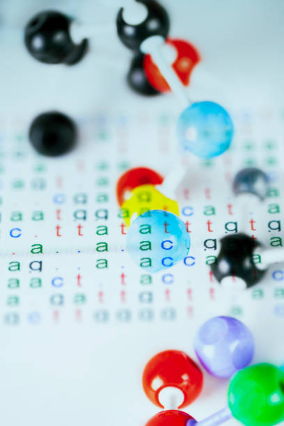 The concept of drug design based on DNA sequence