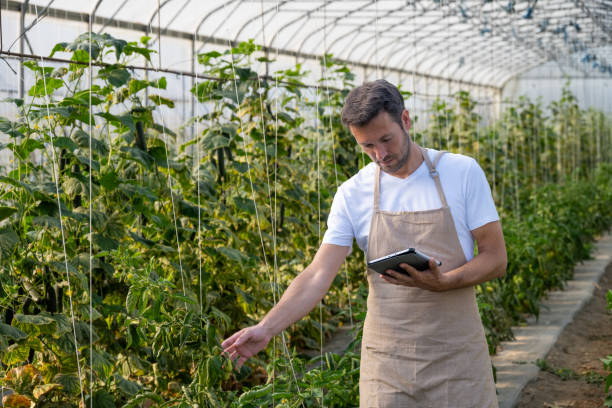 istock Greenhouse Technician Monitors Plant Growth on Tablet 2167642455