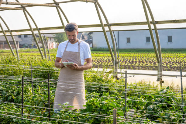 istock Greenhouse Technician Navigates Plant Care on Tablet 2167642461