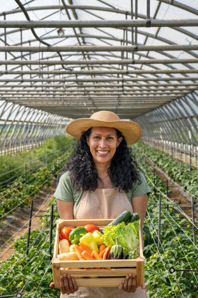 istock Smiling Hispanic Greenhouse Worker with Harvested Vegetables 2167642500