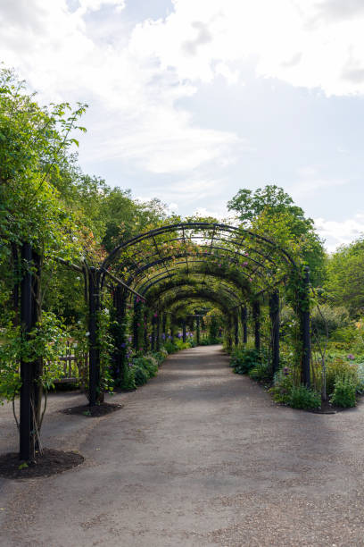 istock An enchanting garden pathway adorned with a beautiful floral archway, creating a serene and picturesque scene in a London park 2167642993
