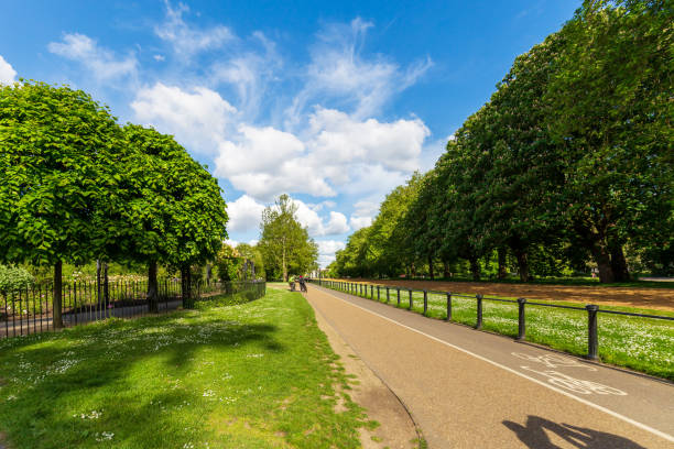 istock Sunny Pathway and Lush Greenery in London Park 2167643276