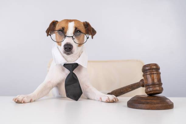 Для кого разработан закон