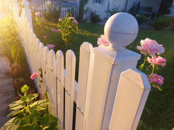 Empty backyard with green grass, and white picket fence