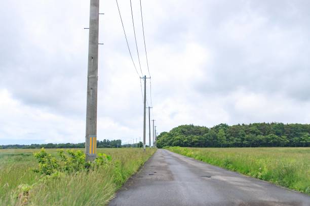 istock A Straight Road Leading to a Distant Horizon 2167654170