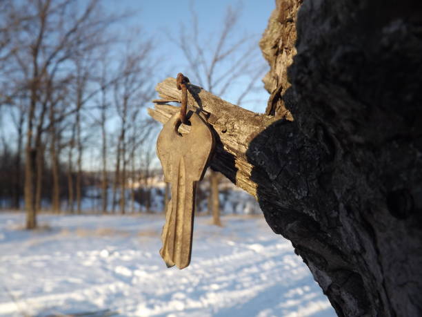 Someone's forgotten house keys (In the winter forest)