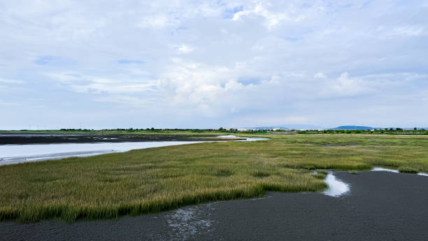 istock The beautiful views in Taiwan 2167659513