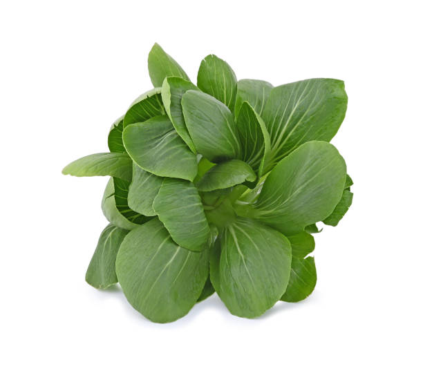 istock Bok choy (chinese cabbage) isolated on white background 2167673655