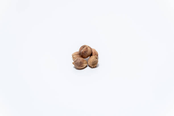 istock Asian spice cardamom 2167678072