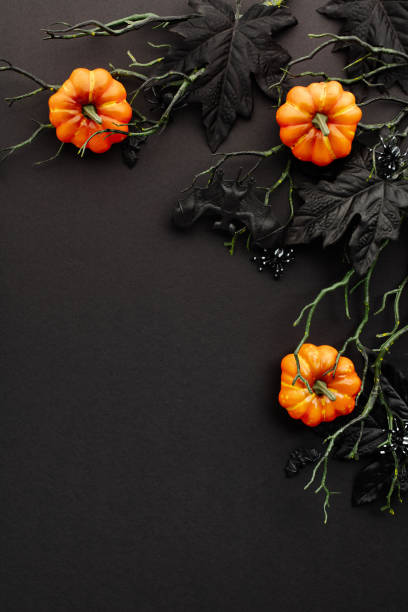 istock Scary Halloween flat lay composition with pumpkins, maple leaves, branches with bats on dark background. 2167705005
