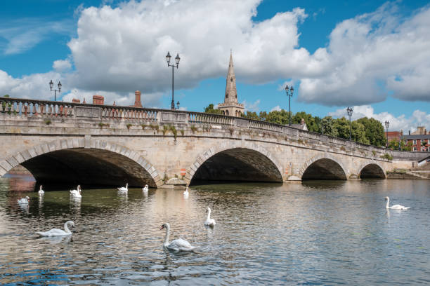 istock Swans on River Great Ouse in Bedford 2167705277