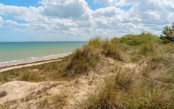 istock Utah Beach in France 2167707141