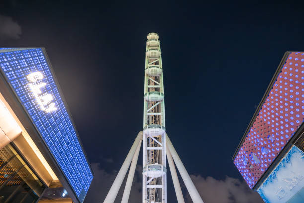 Ain Dubai Ferris Wheel seen from near at night in Dubai, United Arab Emirates.