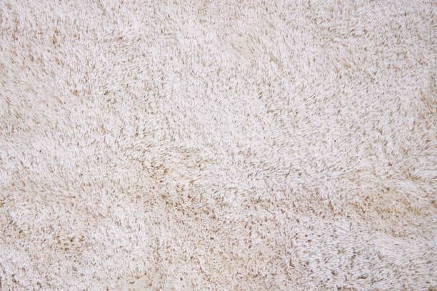 istock he texture of a soft white carpet with a long pile 2167708988