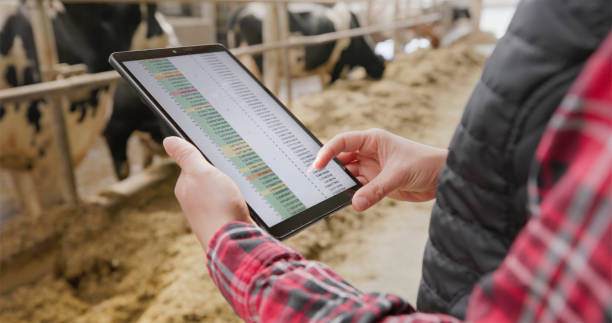 istock Farm Worker Managing Livestock Data on Tablet 2167712574