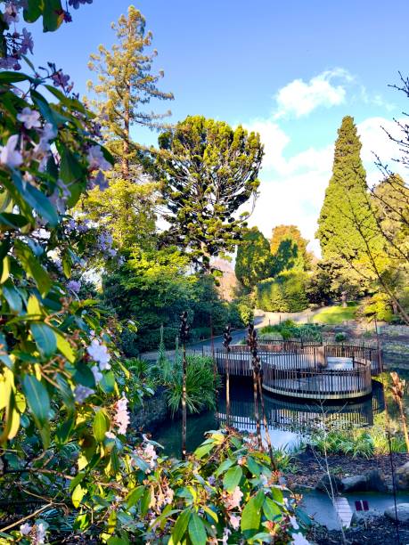Vertical landscape photo of a section of the pond and various trees, plants, water plants, shrubs and succulents at the Royal Botanical Gardens, Hobart, Tasmania, on a sunny day in Winter.