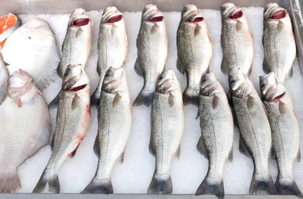 istock Fresh Sea Fish on Ice for Sale 2167717351