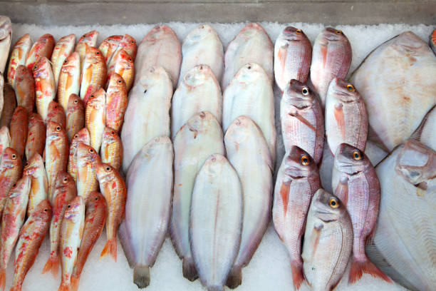 istock Fresh Sea Fish on Ice for Sale 2167717364