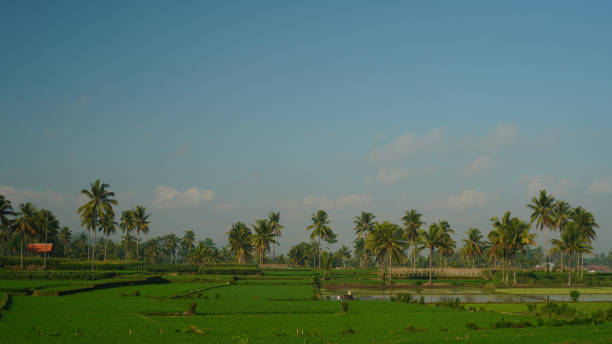 istock rural agricultural areas 2167717869