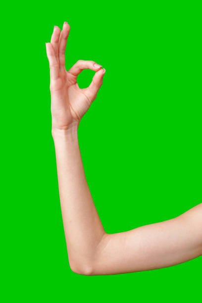 Human hand thumbs up on the green background with clipping path and copy space