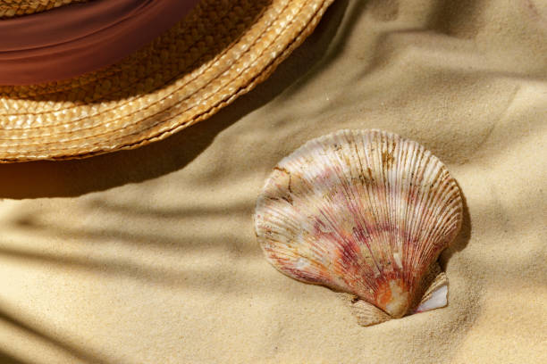 istock Straw Hat and Seashell on Sandy Beach With Shadows 2167734874