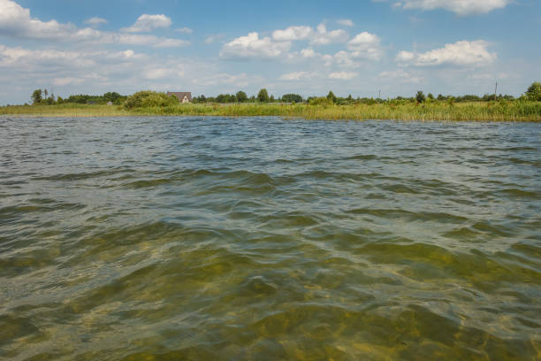 Lake on a sunny day with ripples on the surface of the water, blue sky and white clouds. View from the water, to the shore.