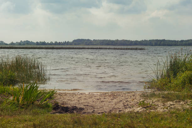 Lake on a sunny day with blue sky and white clouds.