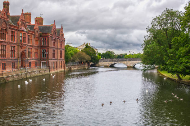 istock Swans and Geese on River Great Ouse in Bedford 2167751911