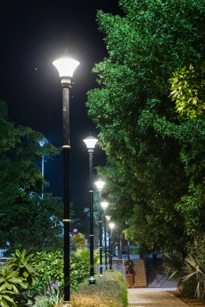 istock fluorescent street light with green tree at evening from flat angle 2167759767