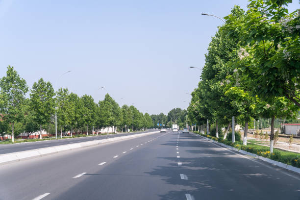 istock A road with a lot of trees on both sides 2167761259
