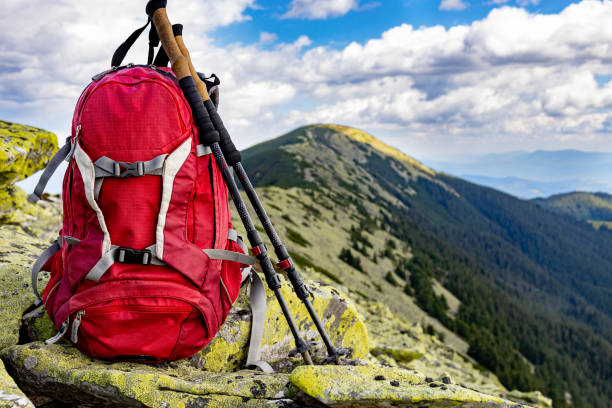 istock Hiking in the mountains with a backpack in summer. 2167763425