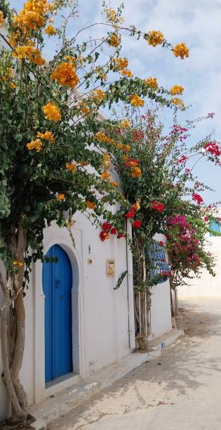 Djerbahood bougainvillea