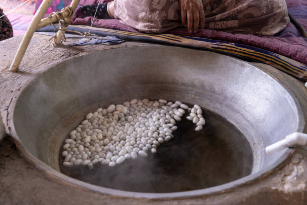 istock A large bowl filled with white objects is sitting on a stove 2167764912