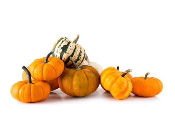 istock Miniature Pumpkins on White 2167766415