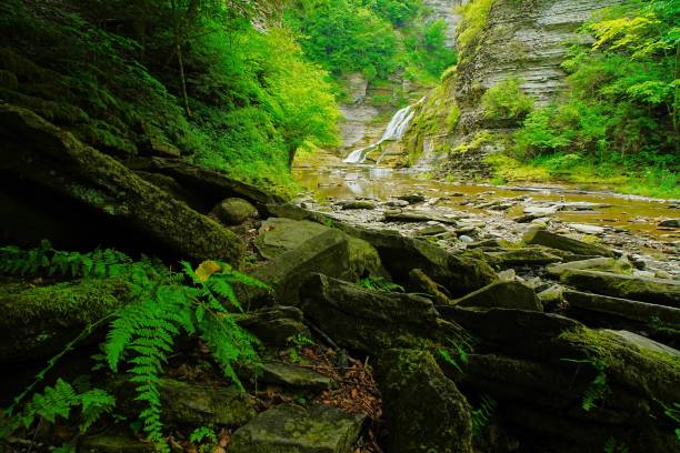 istock Lucifer Falls Robert H Treman State Park New York 2167774405