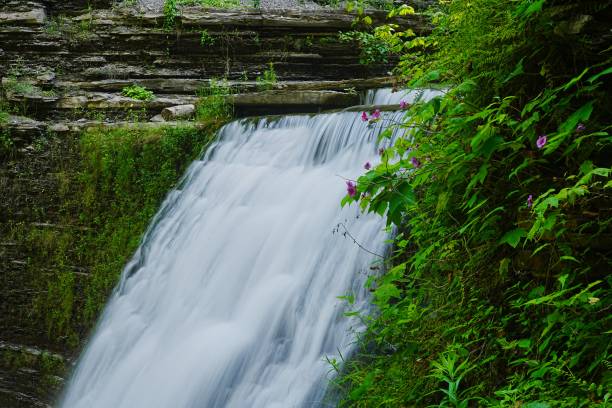 istock Stony Brook State Park New York 2167774468