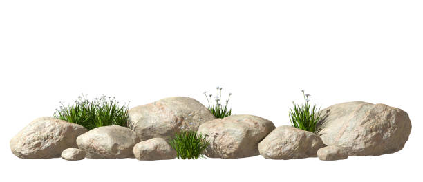 istock Nature realistic rocks position landscape with grass flower isolate backgrounds 3d render 2167776084