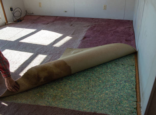 Carpet Ripping 190+ Ripping Up Carpet Stock Photos, Pictures & Royalty-Free Images ...